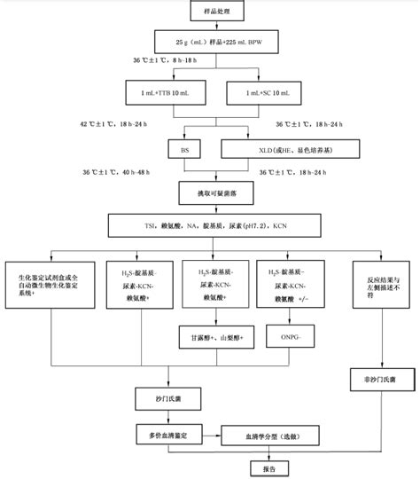 Gb 47894 2016 食品安全国家标准 食品微生物学检验 沙门氏菌检验