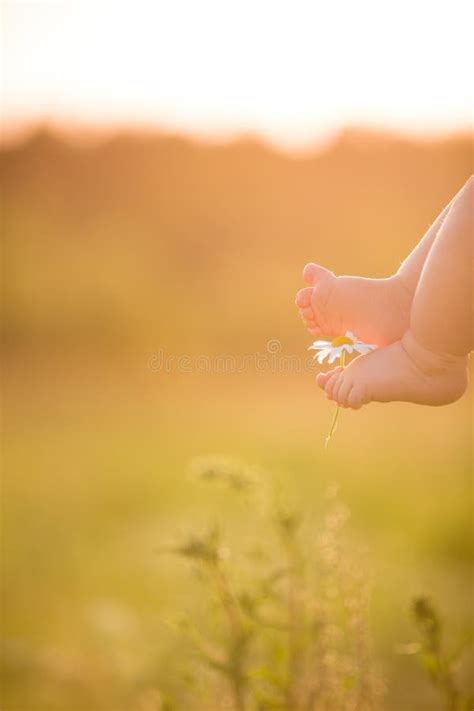 Feet In Farm Boots Walk Across A Plowed Field At Sunset Ai Generated Stock Image Image Of