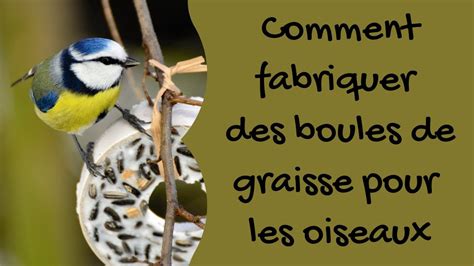 Comment Fabriquer Des Boules De Graisse Pour Les Oiseaux YouTube