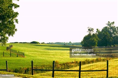 North Carolina Farm Photos And Premium High Res Pictures Getty Images