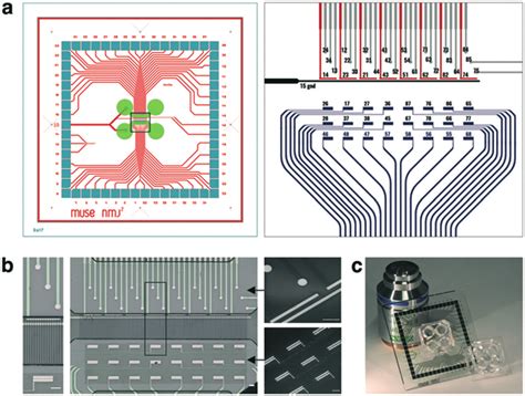 Microelectrode Array Design A Global Mea Layout For 49 × 49 Mm Glass Download Scientific