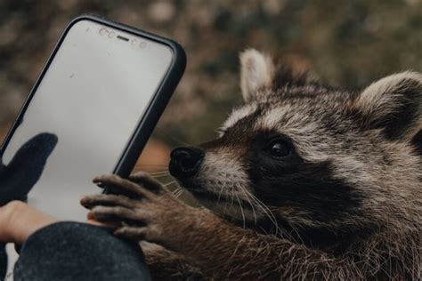 So geht s Wie man Bilder vom Handy auf einen USB Stick überträgt