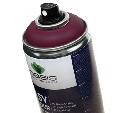 Floristik21 De OASIS Easy Colour Spray Lack Spray Erika 400ml