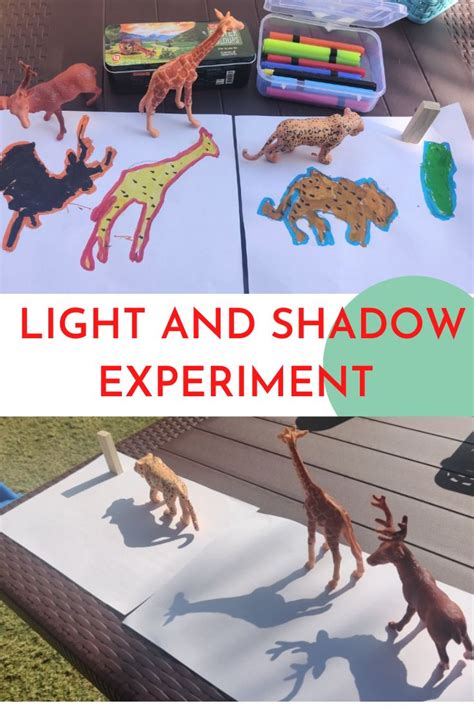 Light And Shadow Experiment Shadow Activities Shadow Experiments