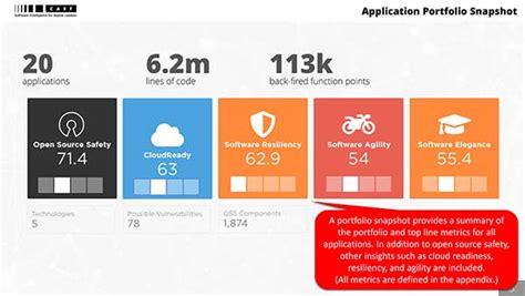 Software Composition Analysis Portfolio Assessment Sample Report