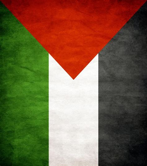 Palestine Flag D Bendera Palestina Hd Wallpaper Pxfuel | Sexiz Pix