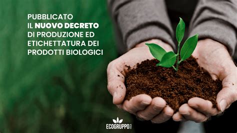 Etichettatura Dei Prodotti Biologici Ecogruppo Italia