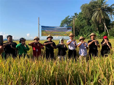 Awali Panen Raya Pemkab Badung Gelar Panen Padi Nusantara 1 Juta