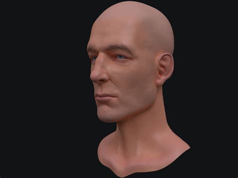 Male Bust 3d Model Turbosquid 2073497