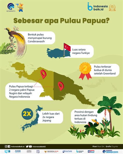 papua pulau terluas  indonesia indonesia baik