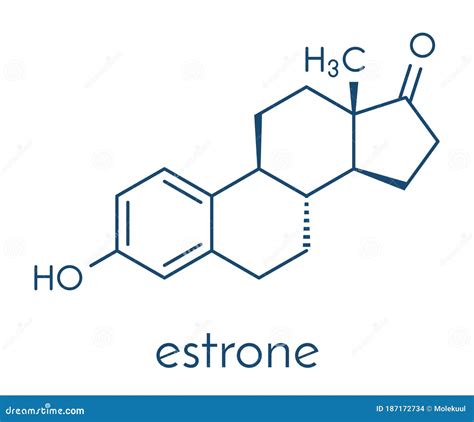 Estrone Oestrone Human Estrogen Hormone Molecule Skeletal Formula Stock Vector Illustration