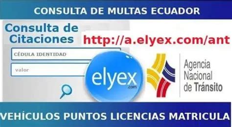 Consulta Multas Ant Ecuador Tr Nsito Elyex