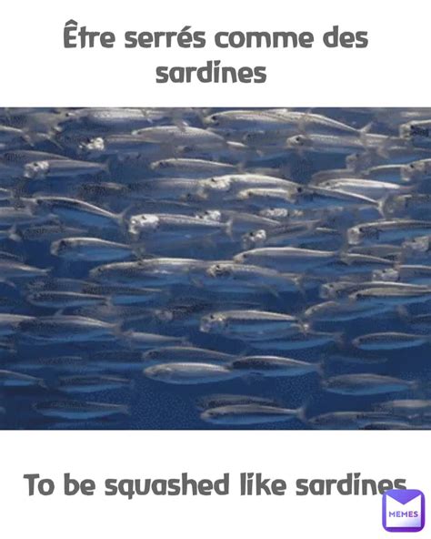 Être serrés comme des sardines To be squashed like sardines