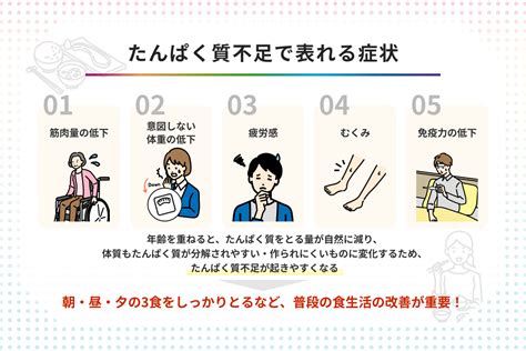 たんぱく質不足で表れる症状は 不足する原因や改善のポイントも解説