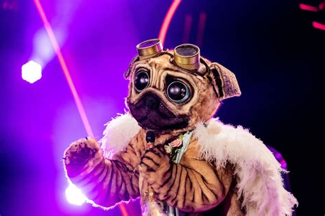 „the Masked Singer“ Jetzt Ist Es Endlich Raus Diese Sängerin Ist Der