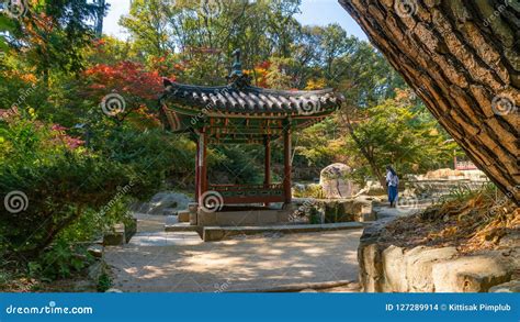 Autumn Changdeokgung Palace Editorial Stock Image - Image of autumn ...