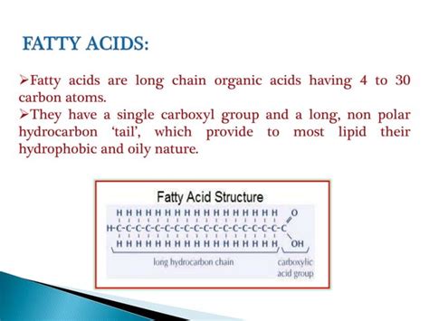 Lipids Properties Classification Function Ppt