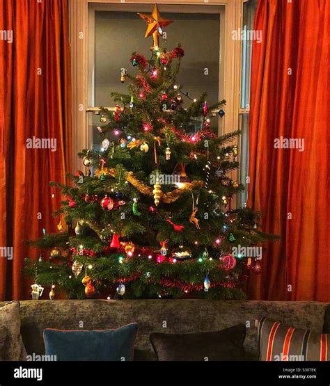 Real Christmas tree Stock Photo - Alamy