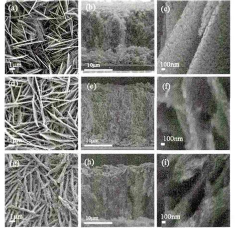 FE SEM Images Of The As Calcined ZnO Nanosheets Grown On The TiO 2