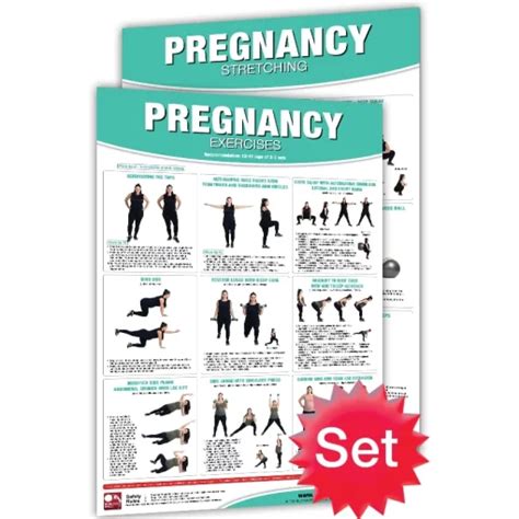 24 X 36 Laminated Fitness Poster Wall Chart Pregnancy Exercises