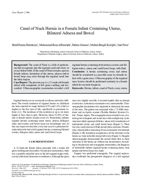 Pdf Canal Of Nuck Hernia In A Female Infant Containing Uterus