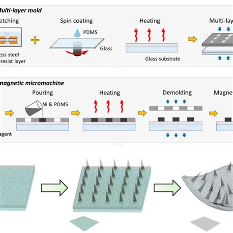 Soft Actuators Based On Pdms A A Multiple Responsive Bilayer Actuator