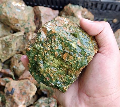 Rainforest Jasper Rough Rock 3kg Crystal World Wholesale Group