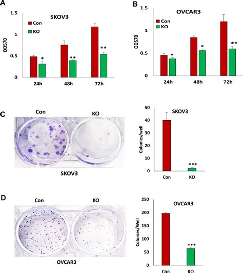 Figure From Lentiviral Crispr Cas Nickase Vector Mediated Birc