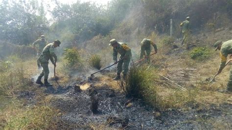 La Jornada Combaten Semar Y Sedena Incendios Forestales En Seis Estados