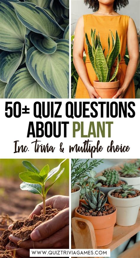 50+ Plant Quiz Questions and Answers - Quiz Trivia Games in 2023 | Quiz ...