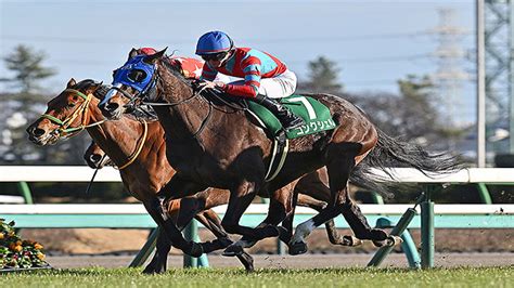 【中山牝馬s結果】5番人気コンクシェルが逃げ切り重賞初制覇 2024年3月9日掲載 ライブドアニュース