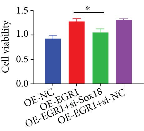 EGR1 Promotes Lymphangiogenesis Via Upregulation Of SOX18 A