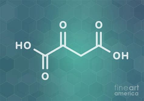 Oxaloacetic Acid Metabolic Intermediate Molecule Photograph By Molekuul