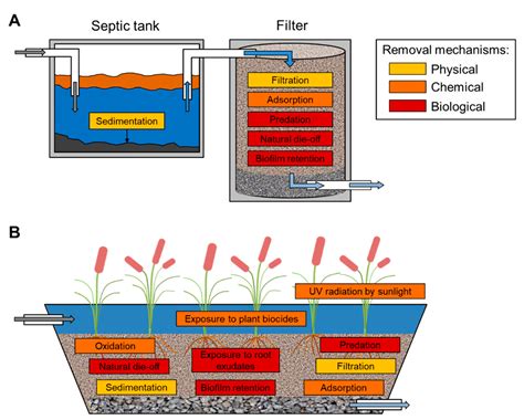 Water Free Full Text Removal Of Pathogens In Onsite Wastewater