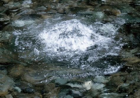 What Is Spring Water A Complete Guide To Natural Spring Water