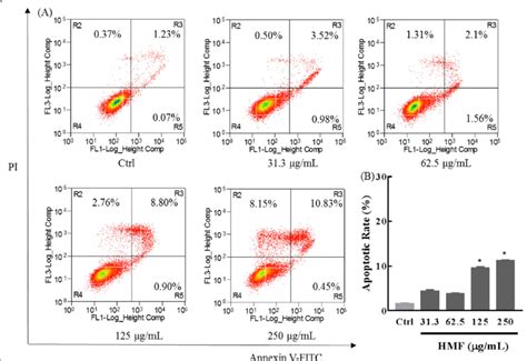 Hmf Triggers Apoptosis In Nci H1975 Cells A Nci H1975 Cells Were