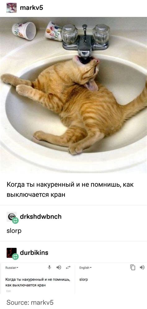 Russian Cat Meme