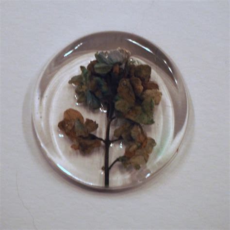 Techniques to Embed Flowers in Resin : 12 Steps (with Pictures ...