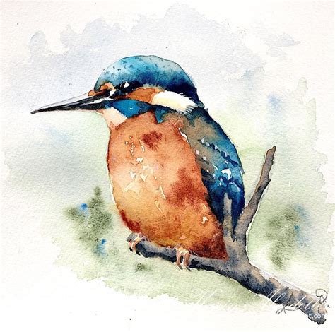 Karin Åkesdotter On Instagram Kingfisher I Use