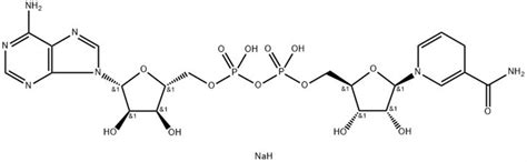 Beta Nicotinamide Adenine Dinucleotide Disodium Salt 606 68 8