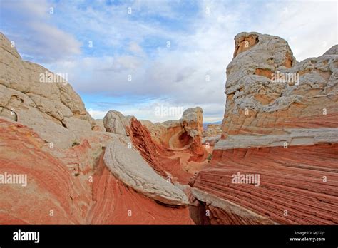 Butterfly A Rock Formation At White Pocket Coyote Buttes South Cbs