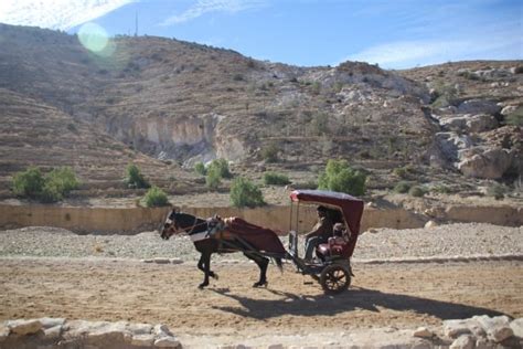 Dicas De Petra Para Quem Vai Pela Primeira Vez Guia Completo