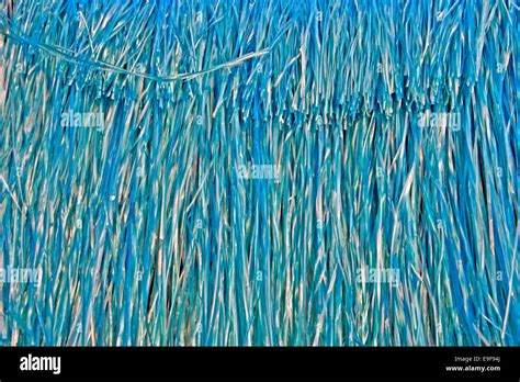 bast fibers Stock Photo - Alamy