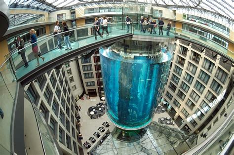 Berlin Hotel Aquadom Bursts Kills 1500 Aquarium Fish