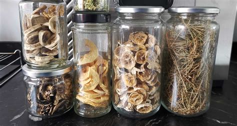 Dehydrating Food For Long Term Storage The Complete Guide Bournebright