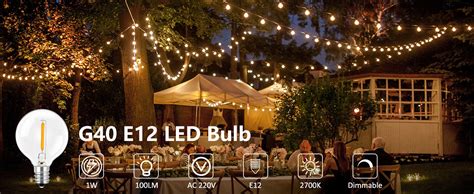 SCNNC 1W E12 G40 LED Bulbs Outdoor 220V IP54 Waterproof Warm White