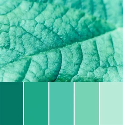 Color Matching Palette Of Mint Green Toned Leaf Close Up Stock Image