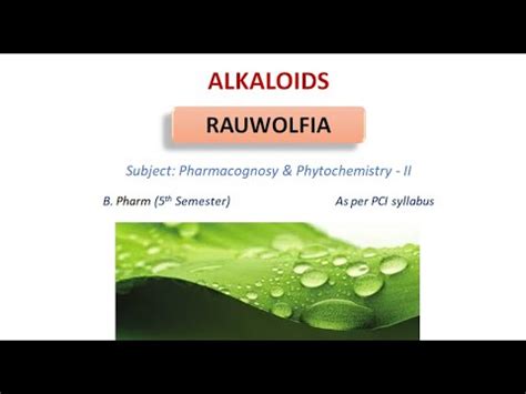 Alkaloids Rauwolfia Pharmacognosy Phytochemistry II YouTube