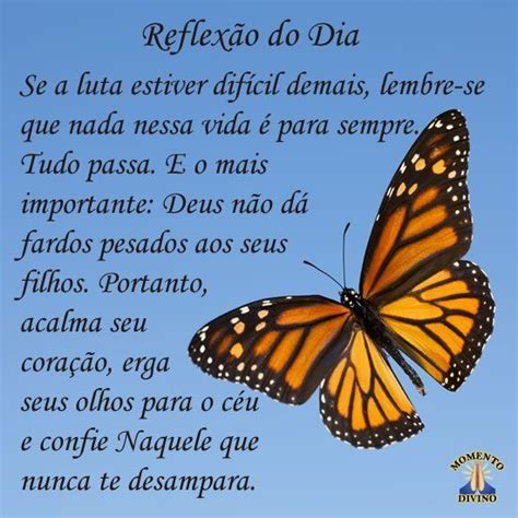 Frases E Reflexões Do Dia - Reflexão do dia | Reflexão do dia, Frases bonitas de reflexão, Reflexão