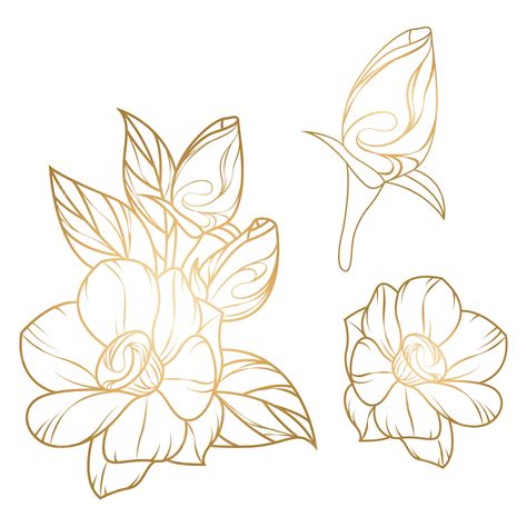 Hand Drawn Flowers Illustration Vector Hand Drawn Flowers Illustration Flowers Png And Vector